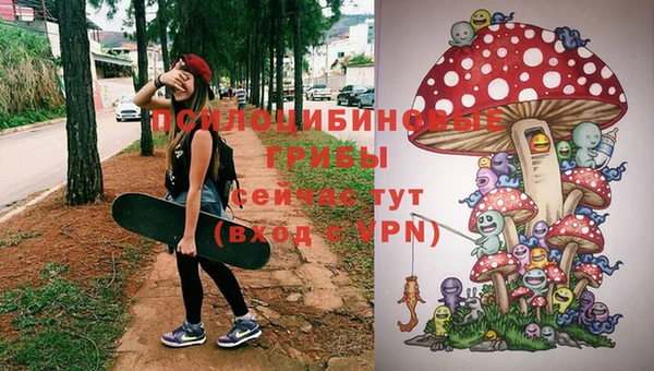 мяу мяу мука Верхнеуральск