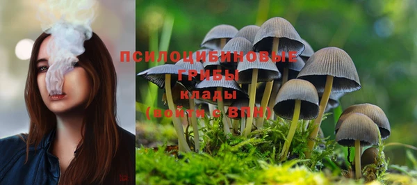 мяу мяу мука Верхнеуральск