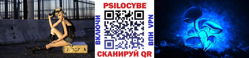 Галлюциногенные грибы Psilocybe  Воткинск 